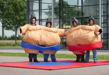 Costumes Sumo Double Adultes