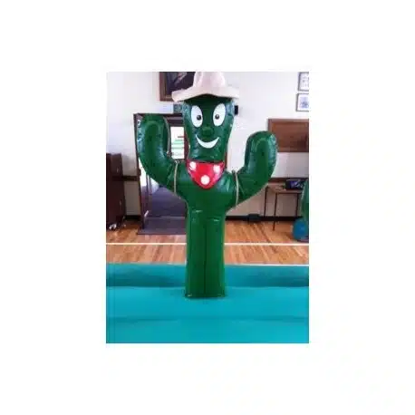 Cactus Hoopla (Avec Catus Plastique)