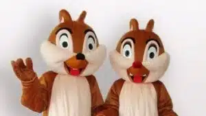 Location mascotte costume écureuil